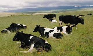 А в глубинке моей...