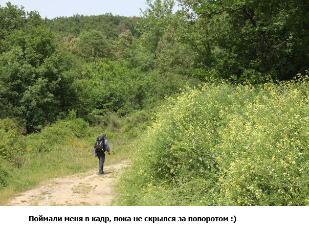 В горах Афона