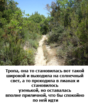 Тропа на Афоне