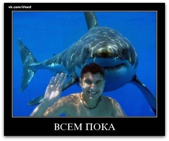 Всем пока!