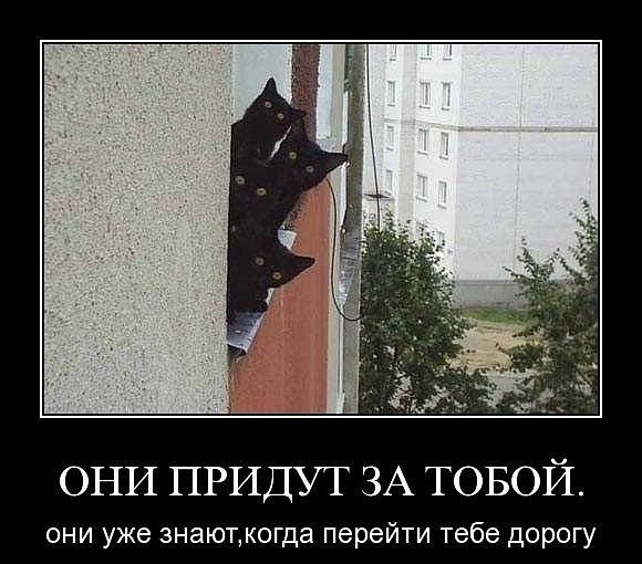 Они придут за тобой